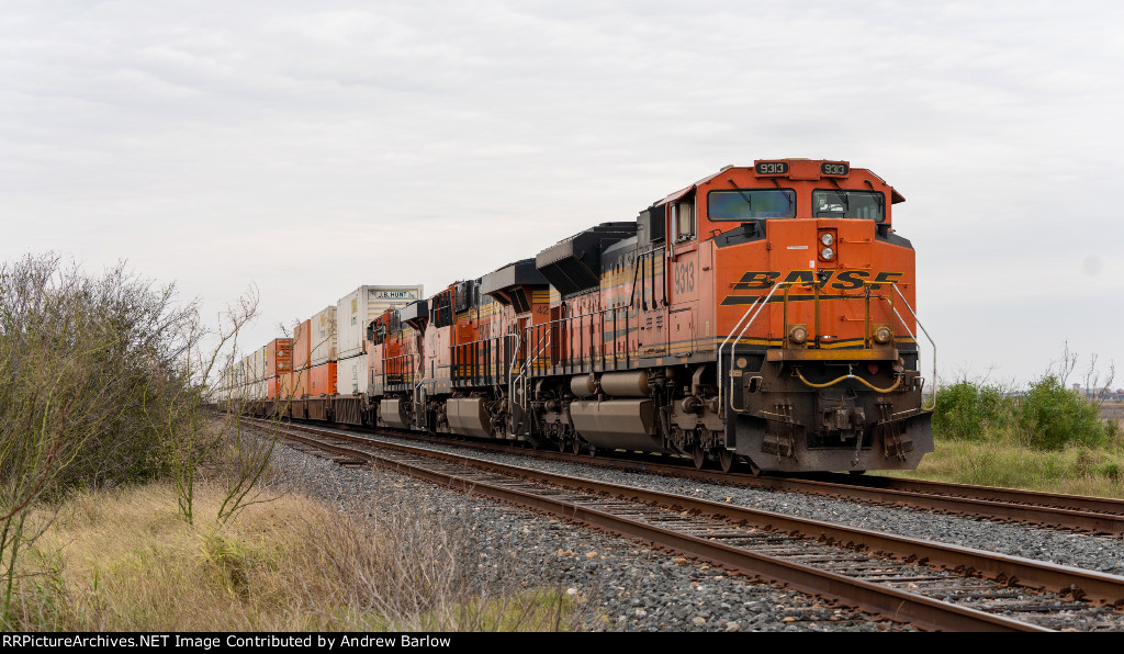 BNSF Stack Train at E. Violet